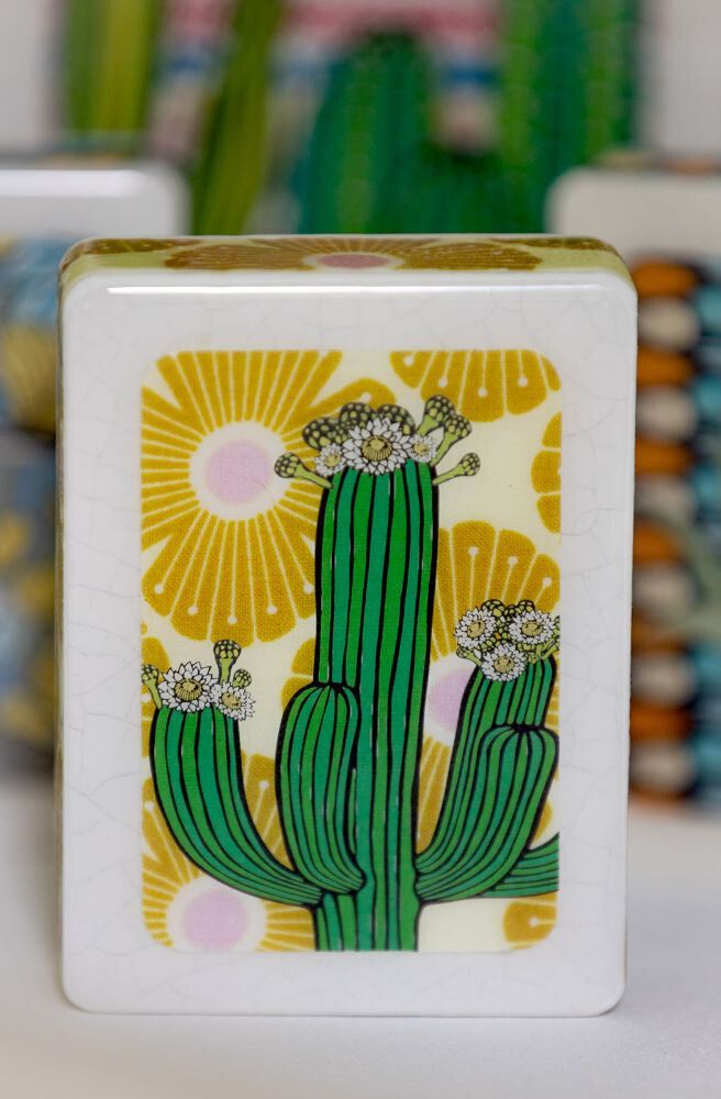 1970s boho style cactus art home decor resin plaque