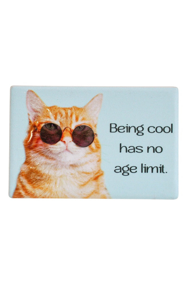 Magnet Cool Age Limit, quirky gift idea