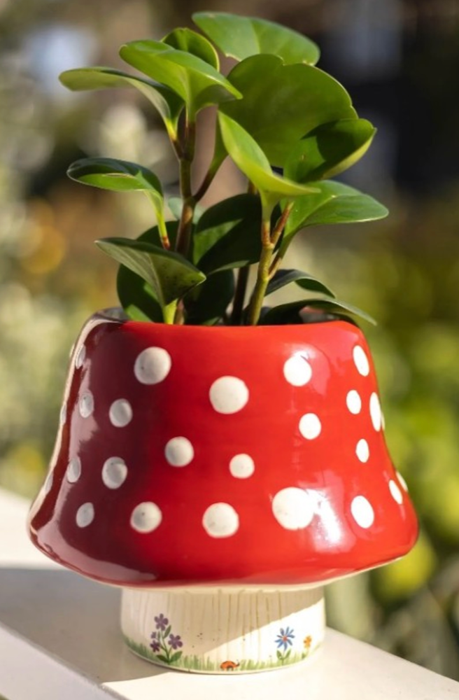 Ceramic Planter Red Mushroom