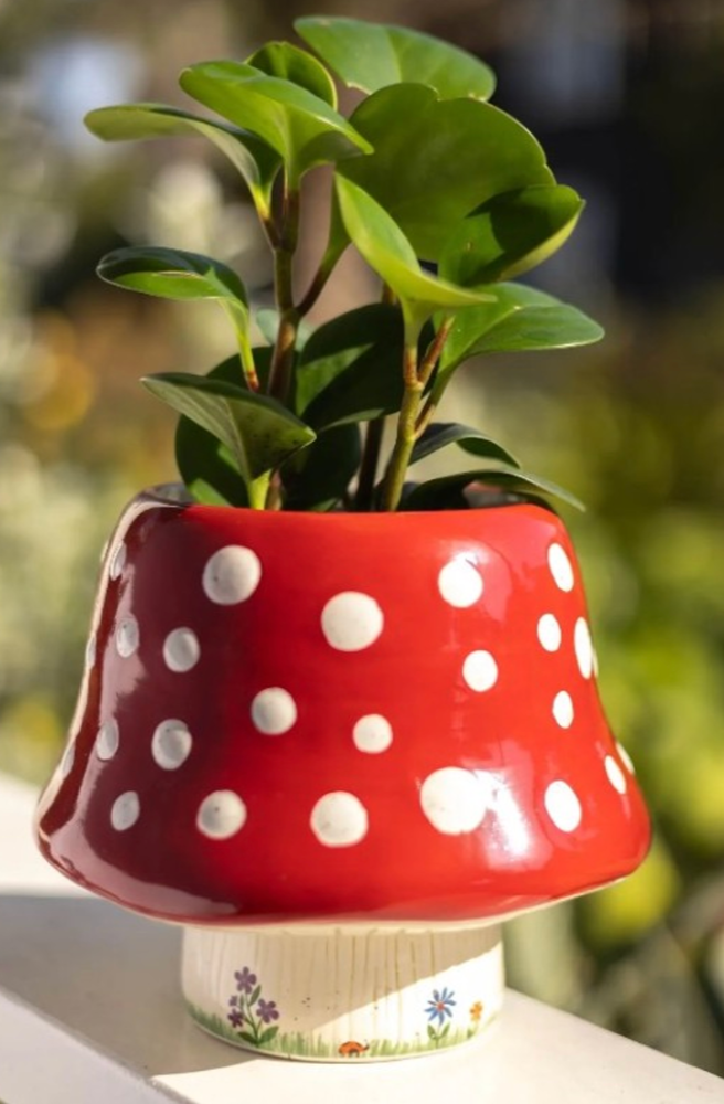 Ceramic Planter Red Mushroom