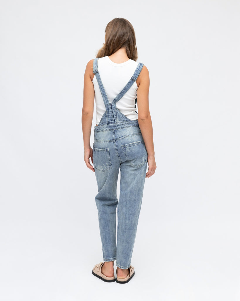 Classic Denim Overalls Back View