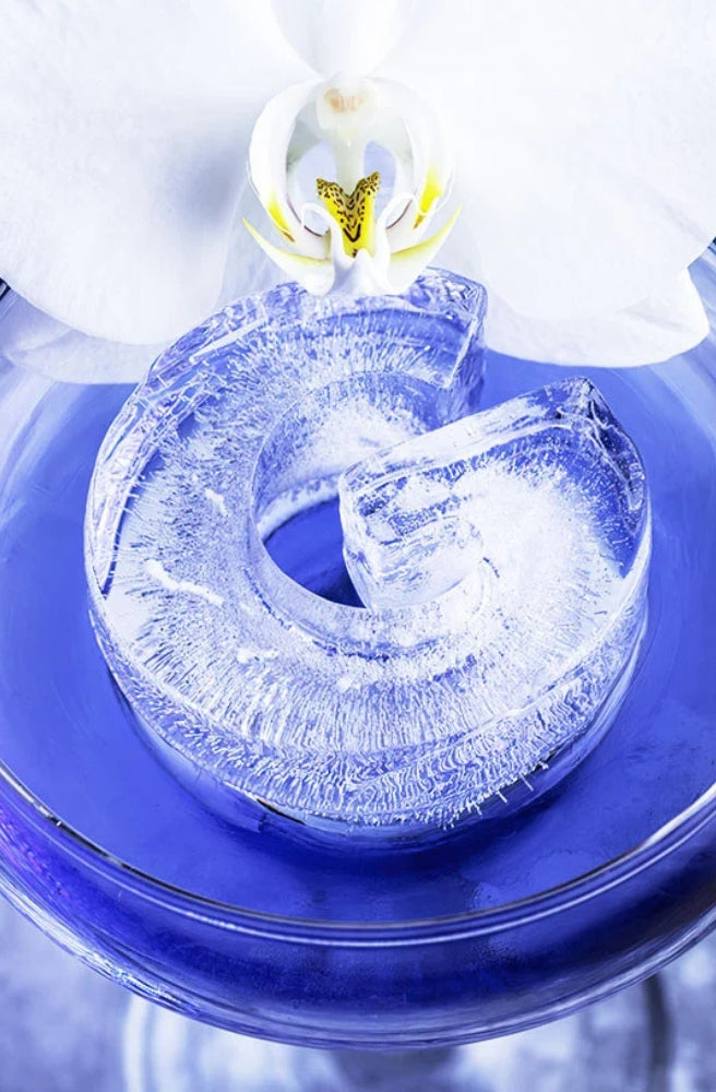 DrinksPlinks For Gin Lovers novelty ice mould for gin cocktails